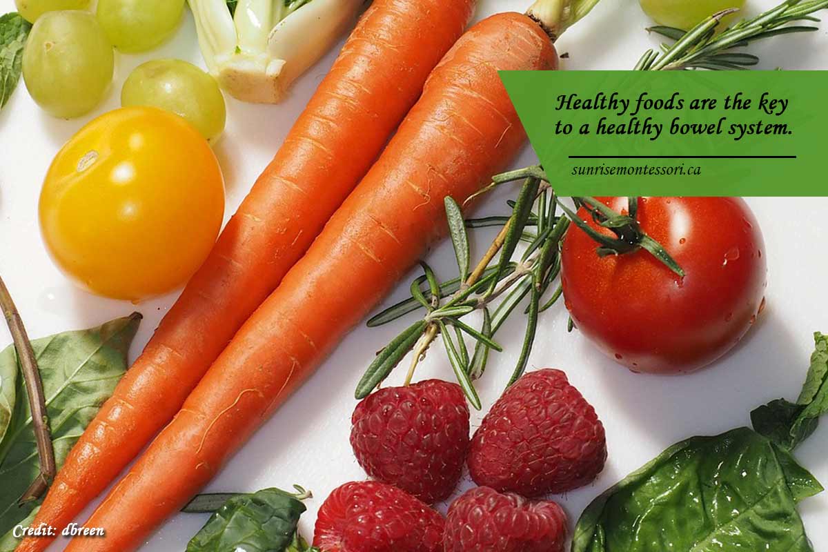 Healthy foods are the key to a healthy bowel system.