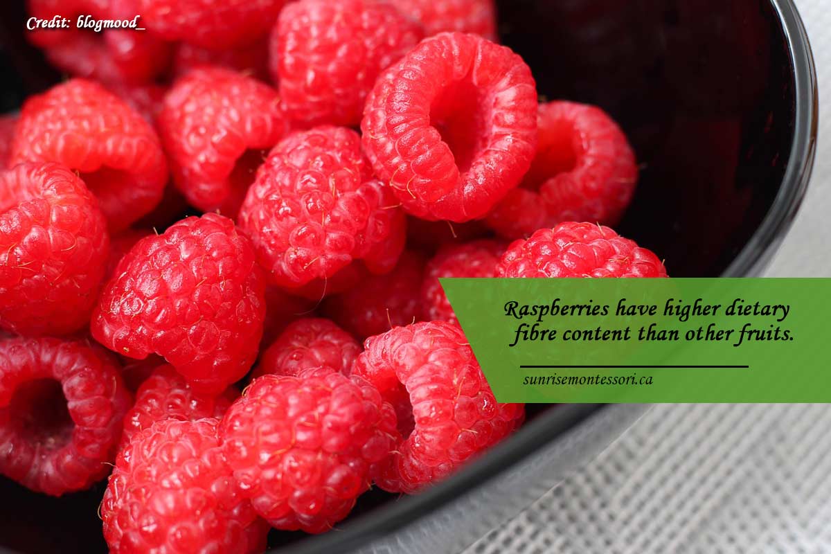 Raspberries have higher dietary fibre content than other fruits.